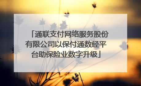 通联支付网络服务股份有限公司以保付通数经平台助保险业数字升级